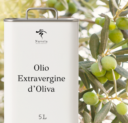Olio d'Oliva Extra Vergine Premium, a elevato contenuto di polifenoli | Latta da 5 litri
